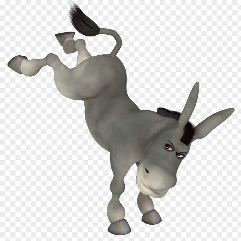 Donkey Download PNG