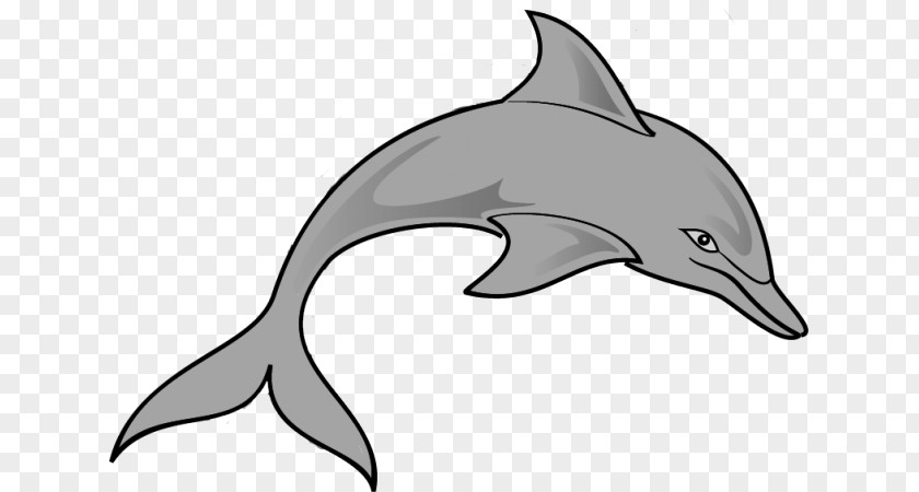 Spinner Dolphin Cliparts Diving Dolphins All About Clip Art PNG