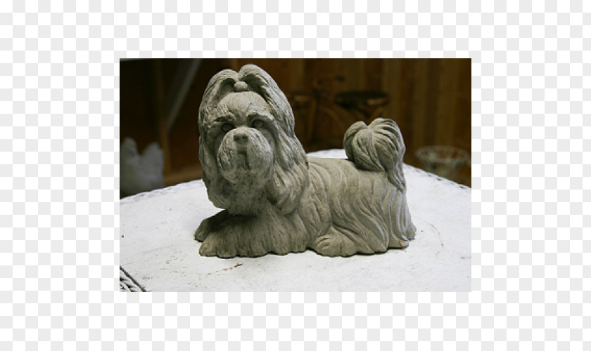 Tzu Lhasa Apso Shih Maltese Dog Puppy Companion PNG