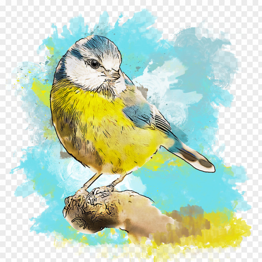 Watercolor Bird Finch American Sparrows Beak Painting PNG