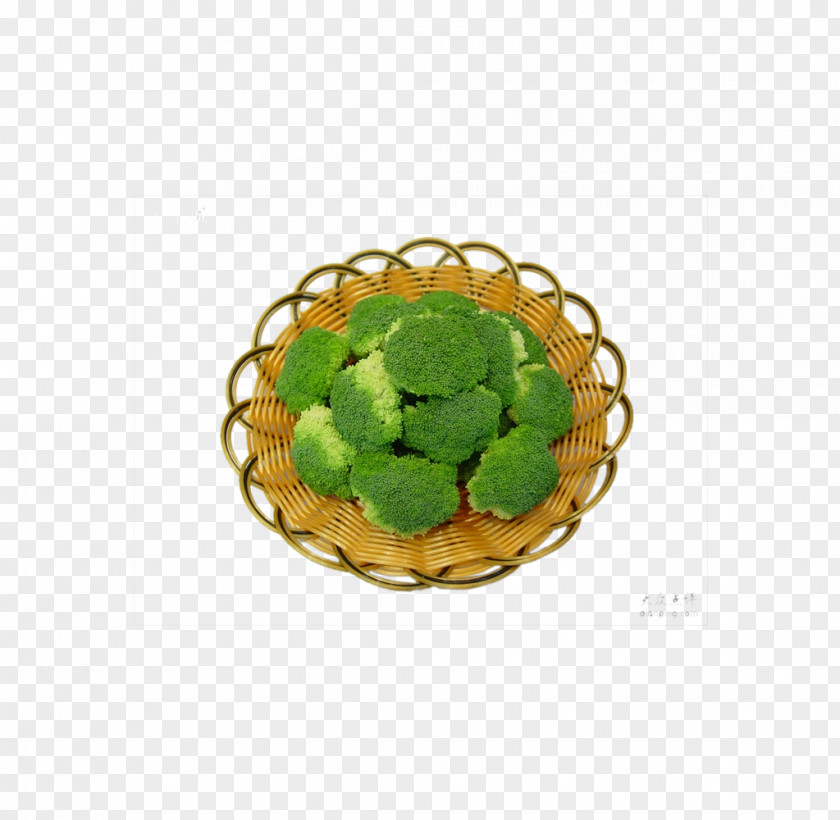Broccoli Download Icon PNG