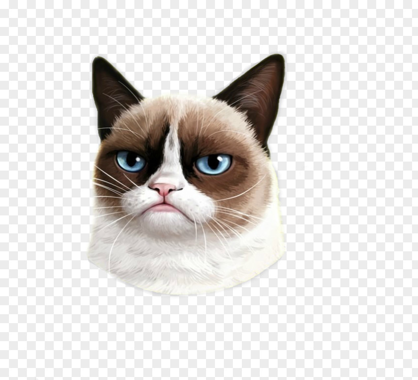 Cat Grumpy Titleist Golf Clubs PNG