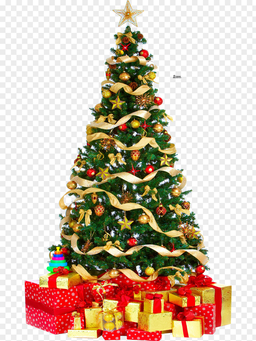 Christmas Tree Free Download Lights PNG