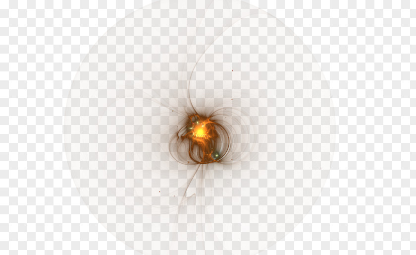 Invertebrate Lighting Orange S.A. PNG