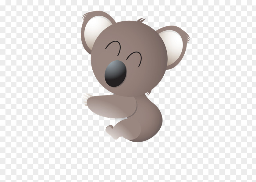 Koala Bear Australia PNG