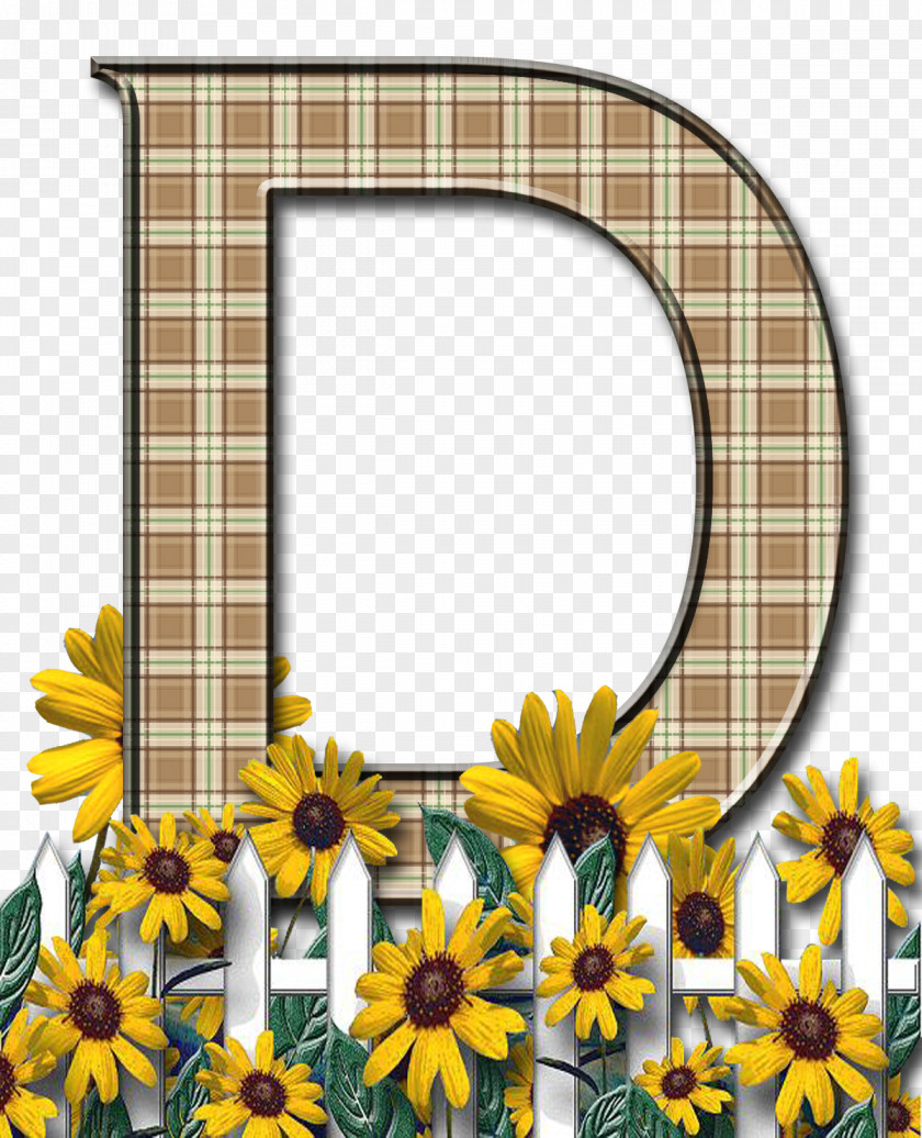 LETTER D Letter Case Alphabet Clip Art PNG