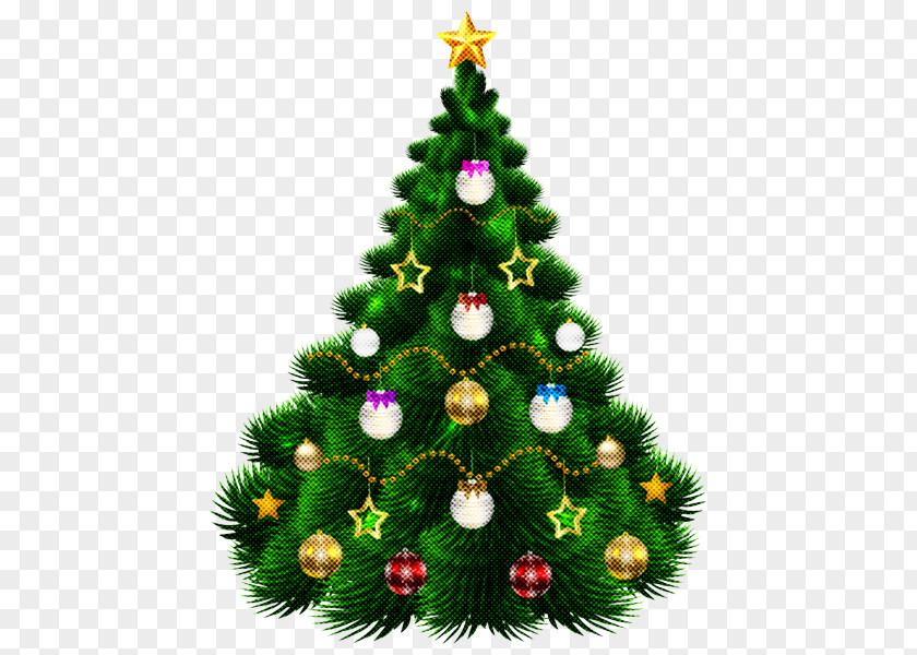 Pine Holiday Ornament Christmas Tree PNG