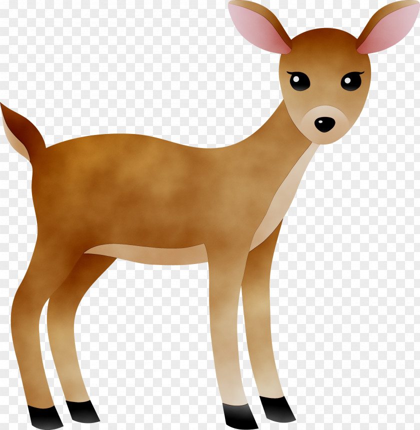 White-tailed Deer Reindeer Antelope Fur PNG