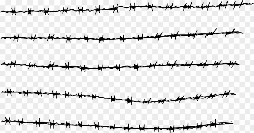 Wire Barbed Fence PNG