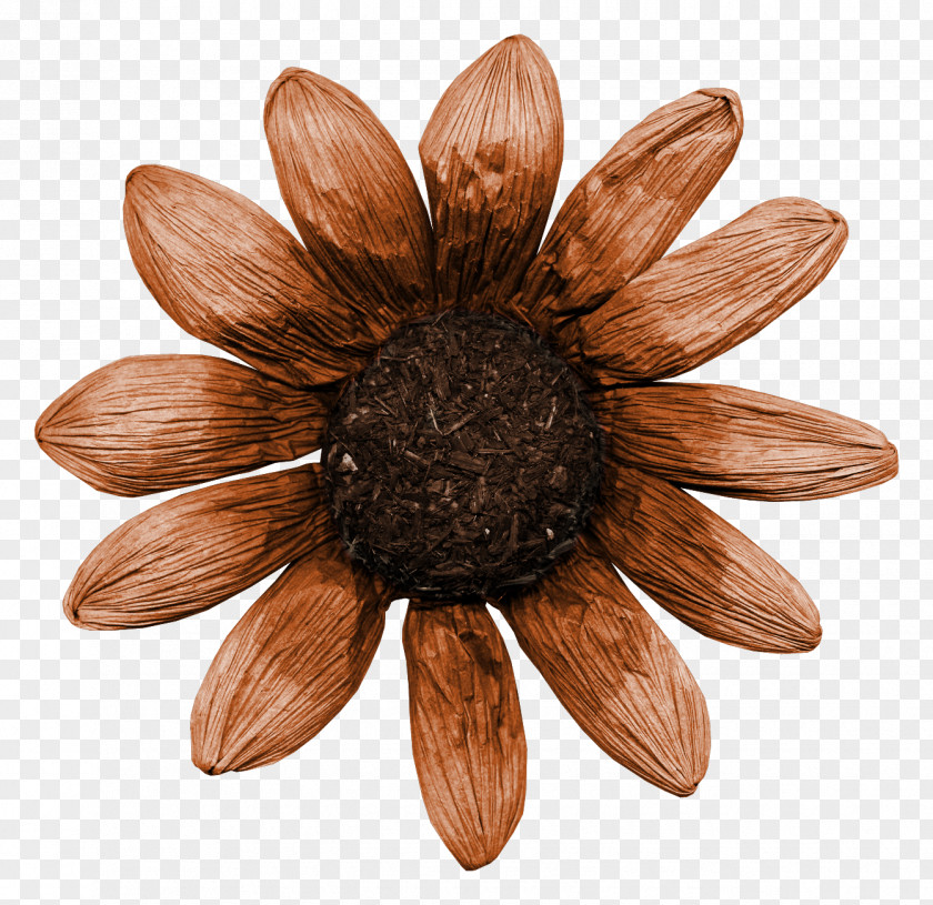 Dry Flower PNG flower clipart PNG