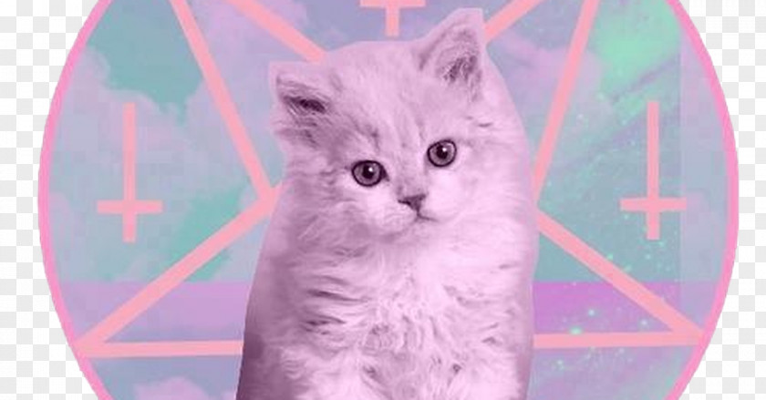 Kitten Cat Satanism Baphomet PNG