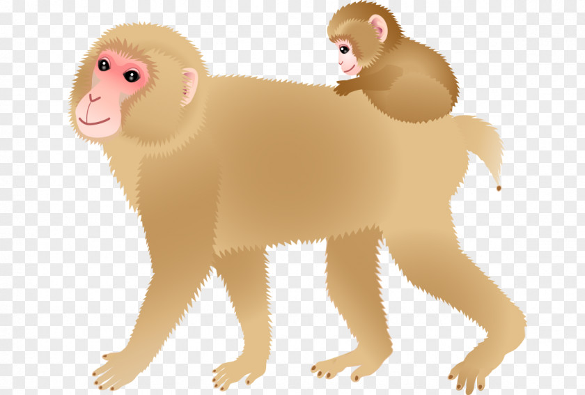 Monkey Lion Cercopithecidae Old World Cat Illustration PNG
