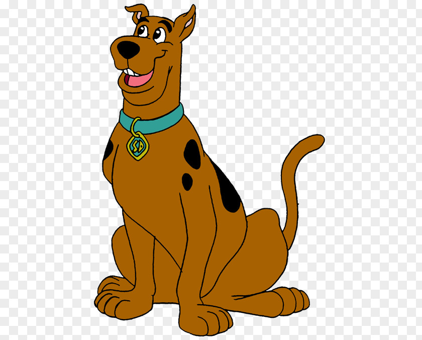 Scooby Doo Scrappy-Doo Scooby-Doo Drawing Shaggy Rogers PNG