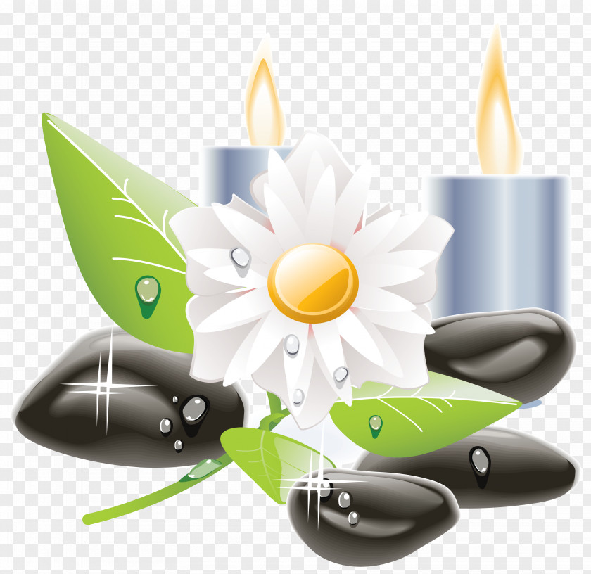 Candle Icon Vector Graphics Image Clip Art Design PNG