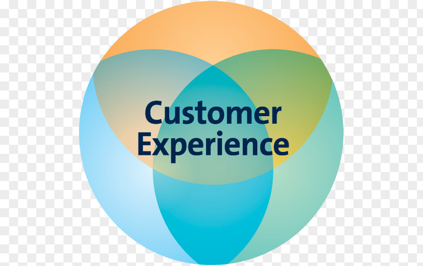 Customer Experience The Bible New International Version World PNG