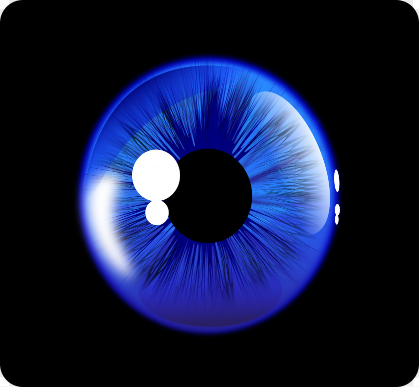 Eyes Human Eye Iris Clip Art PNG