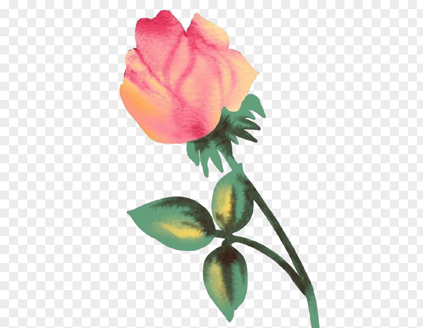 Gradient Rose Flower Clip Art PNG