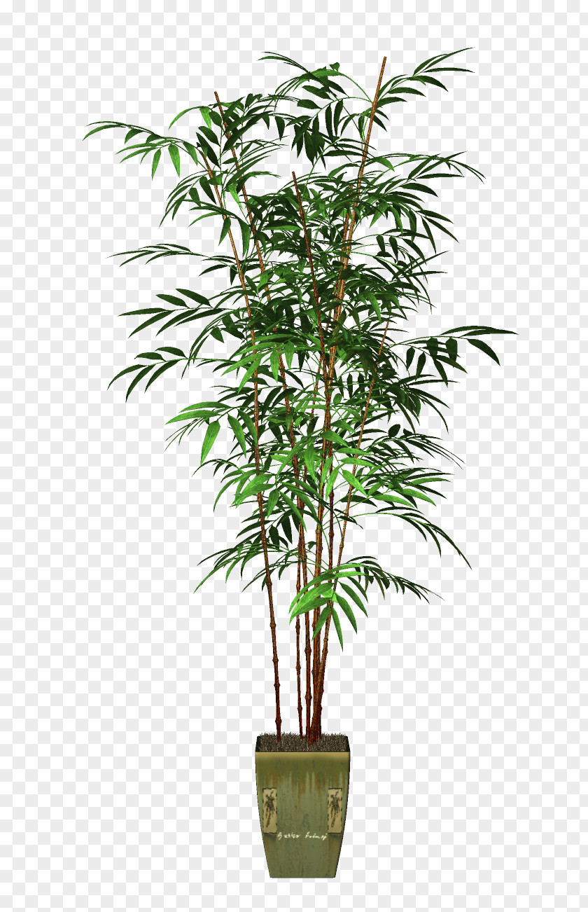 Potted PNG clipart PNG