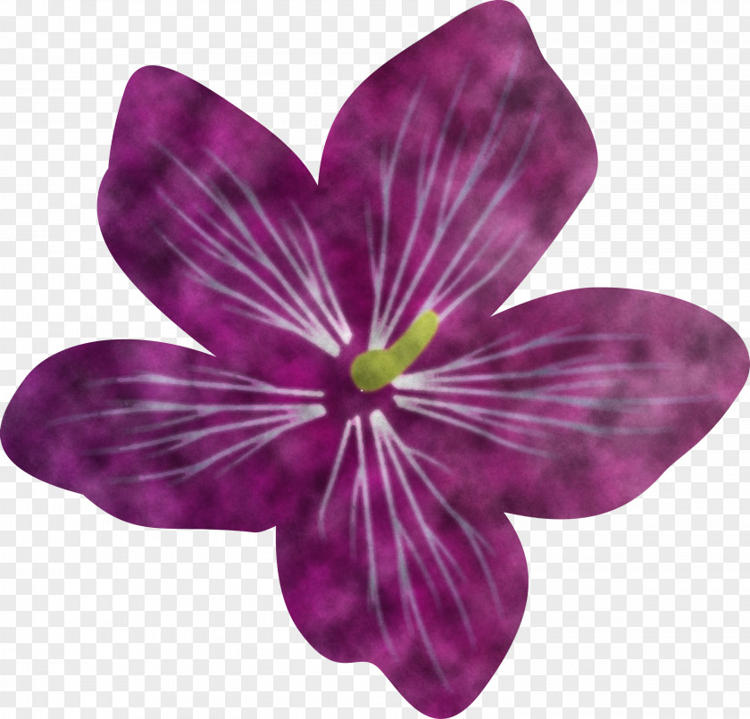 Violet Flower PNG
