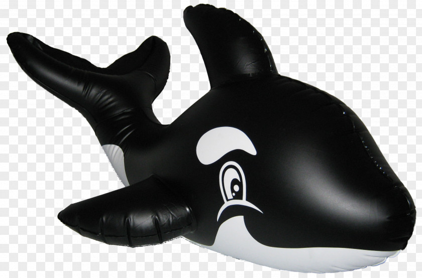 Whale Marine Mammal Fish PNG