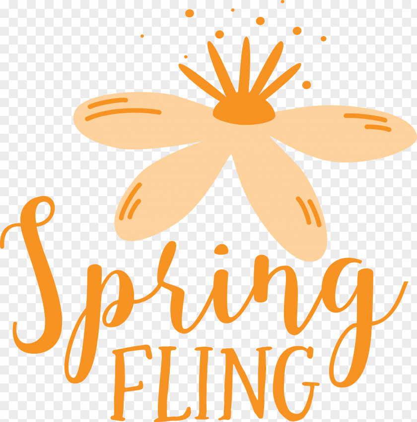 Floral Design PNG