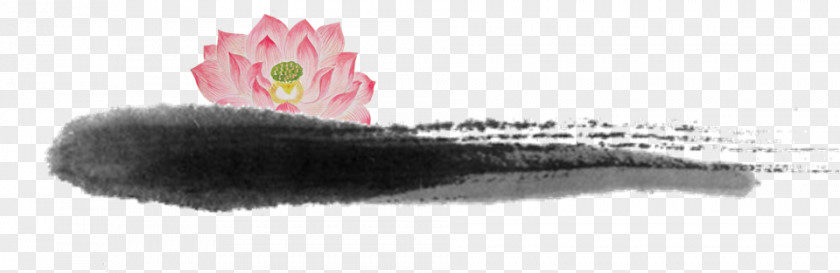 Lotus Pond Designer Nelumbo Nucifera PNG