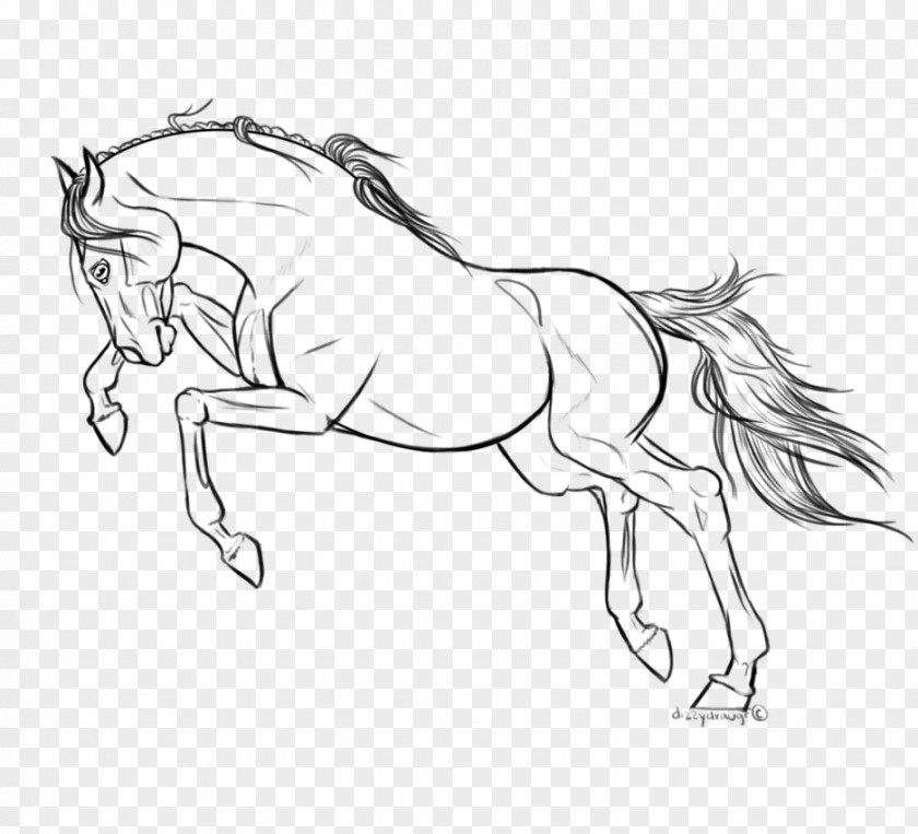 Parting Line Art Arabian Horse Drawing Pony Stallion PNG