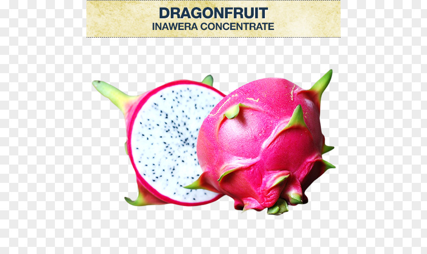 Pitaya Rouge Juice Fruit Flavor PNG