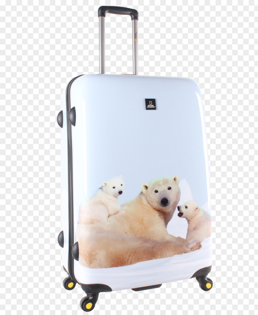 Polar Bear National Geographic Society Trolley PNG
