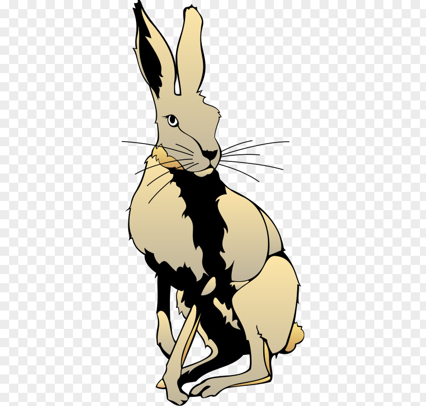 Rabbit Snowshoe Hare Arctic Clip Art PNG