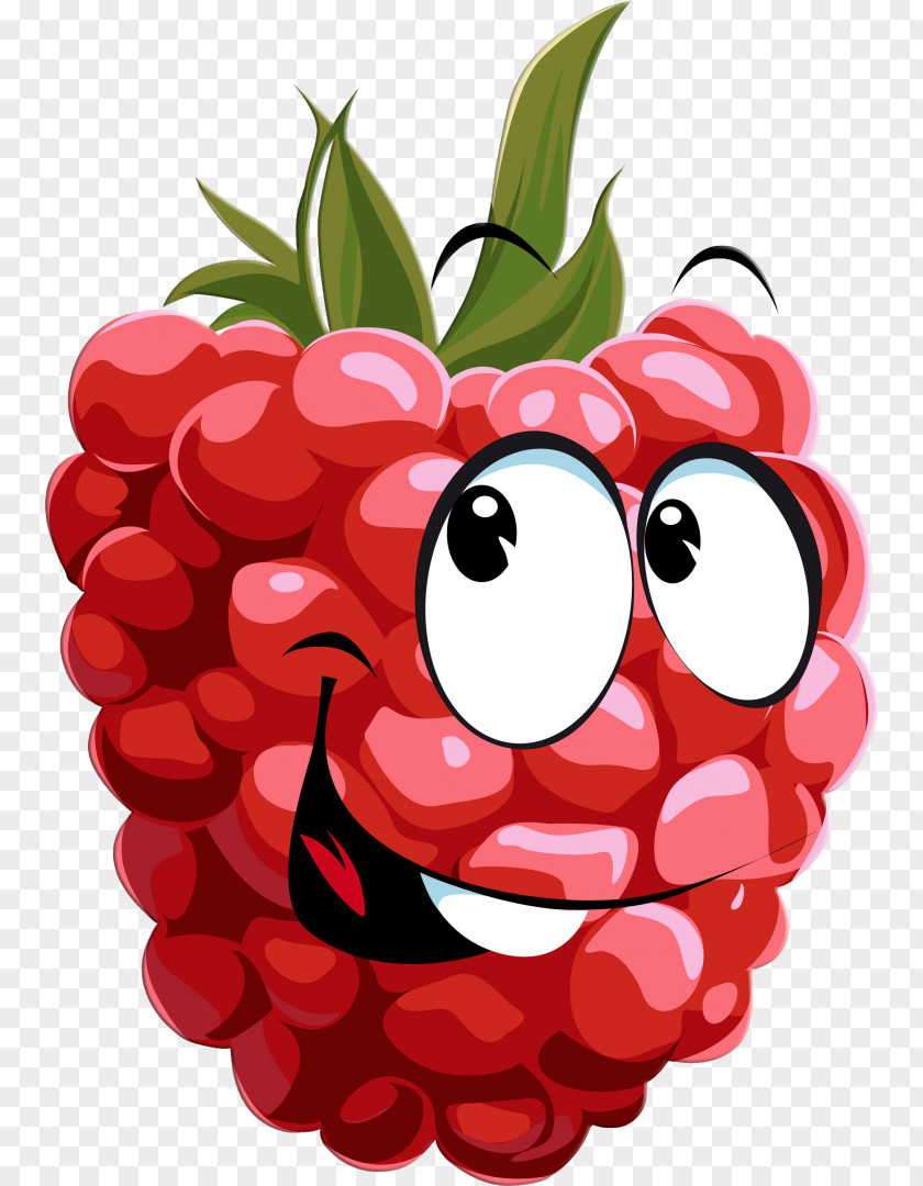 Raspberries Raspberry Drawing Clip Art PNG