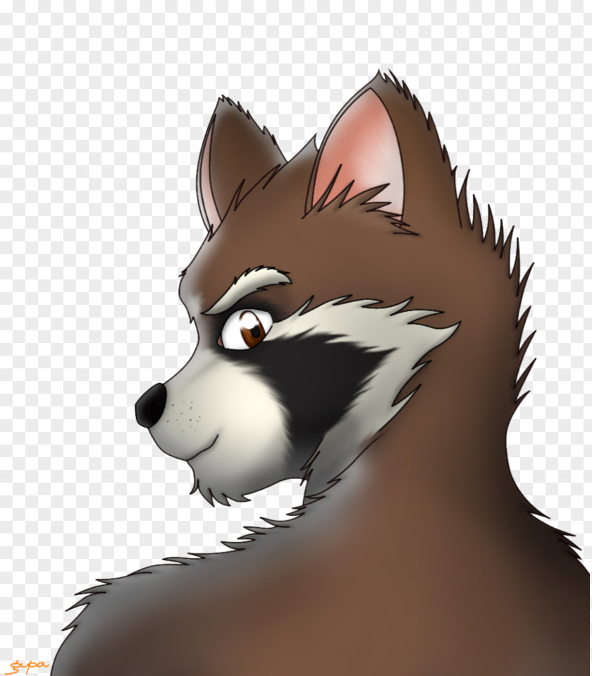 Rocket Raccoon Cat Whiskers Mammal Snout PNG