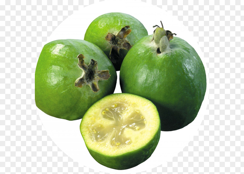 Vegetable Feijoa Diabetes Mellitus Therapy Fruit Diet PNG