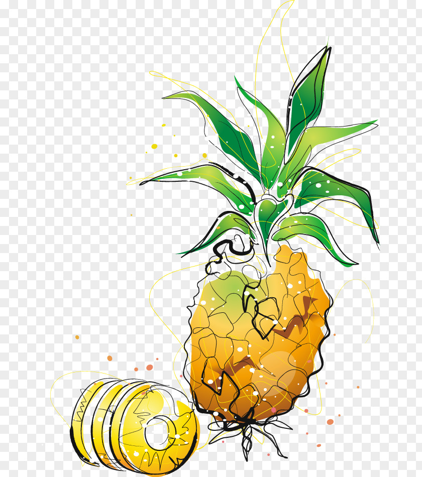 Cartoon Painted Pineapple Drawing Clip Art PNG