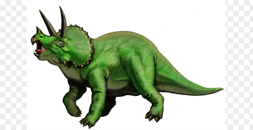 Dinosaur Triceratops Velociraptor Stegosaurus Habitats PNG