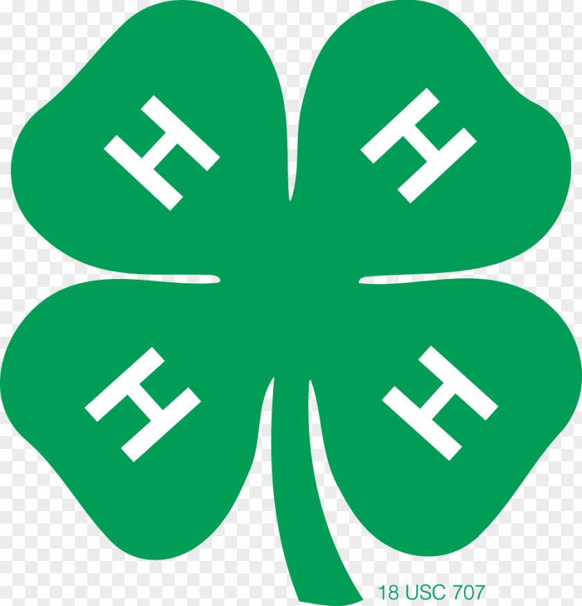 Four Leaf Clover Clipart United States 4-H Organization Youth PNG