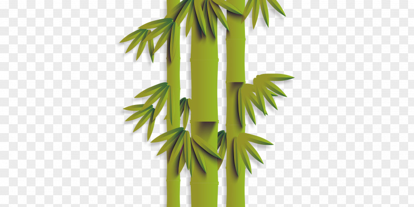 Green Bamboo Euclidean Vector PNG