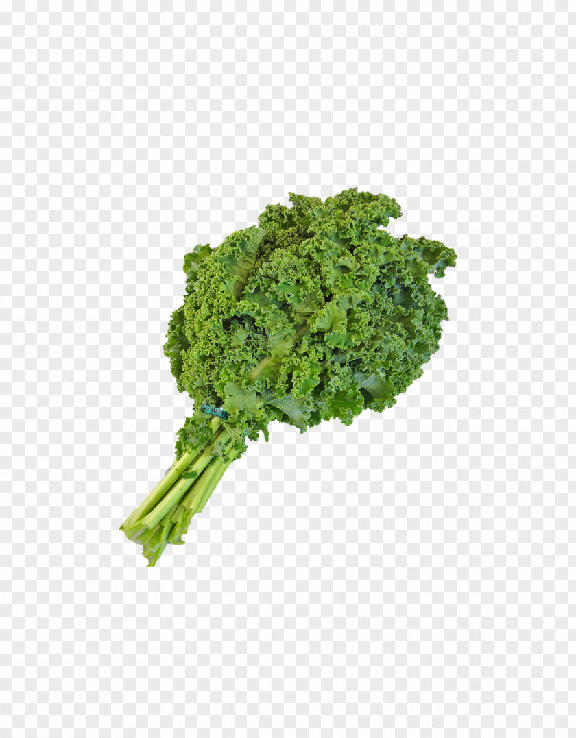 Juice Smoothie Milkshake Curly Kale Vegetable PNG