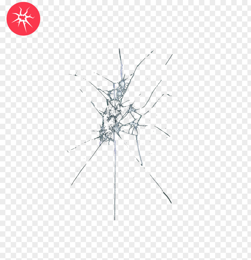 Line Point Angle Tree PNG