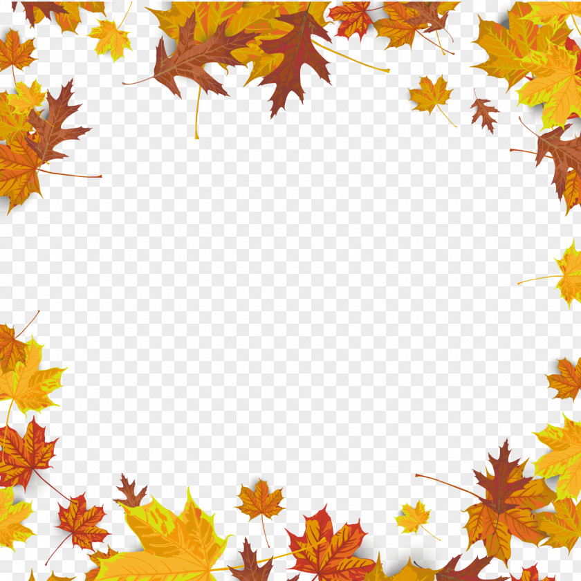 Maple Leaf Background Autumn Color PNG
