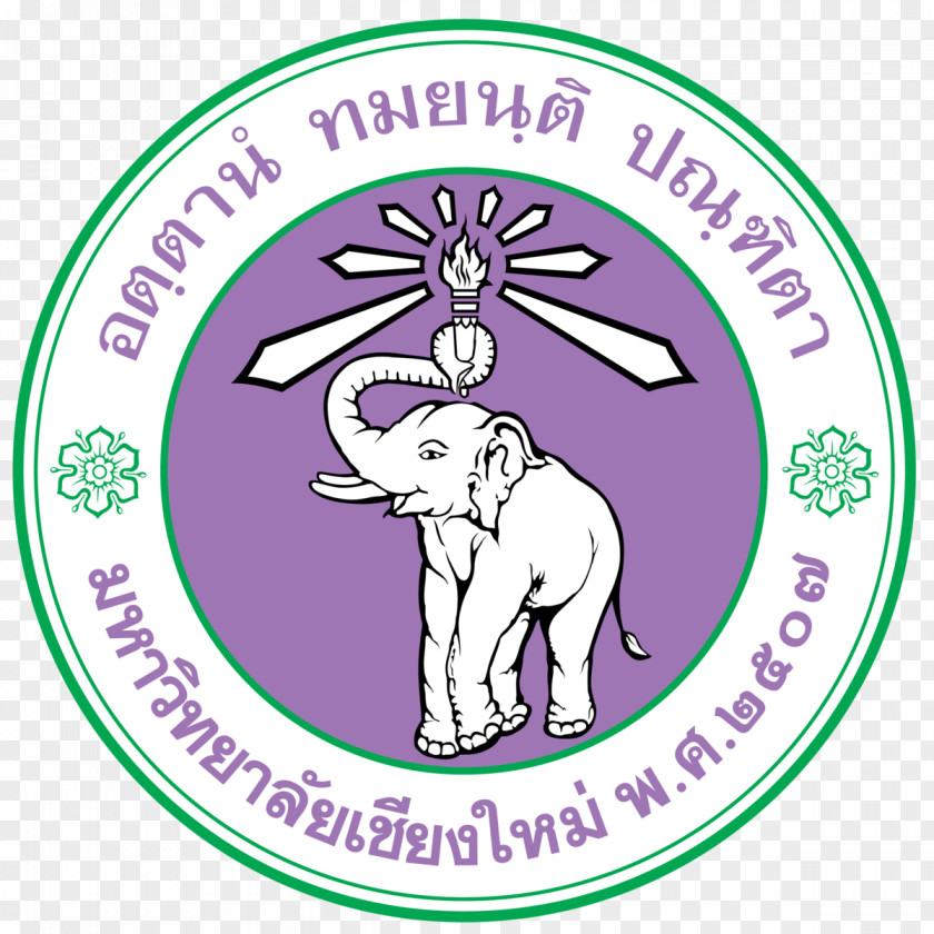 School Of Medicine Chiang Mai University Sirindhorn International Institute Technology Master's Degree Higher Education PNG