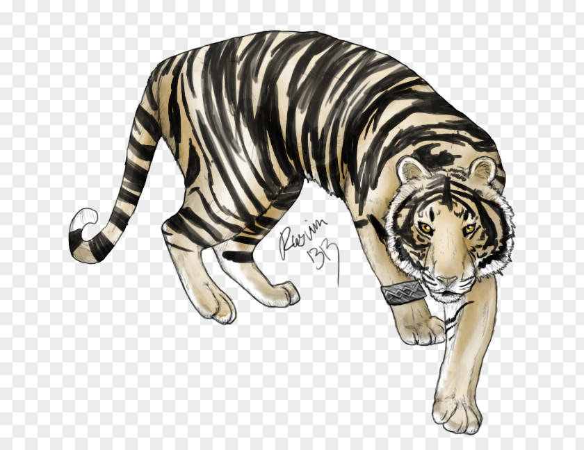 Tiger Big Cat Bad Blood Wildlife PNG