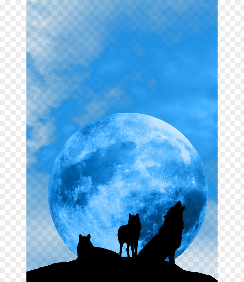 Wolf January 2018 Lunar Eclipse Blue Moon Supermoon Full PNG