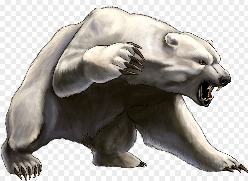 Bear Polar Fancy Giant Panda Doping In Russia PNG