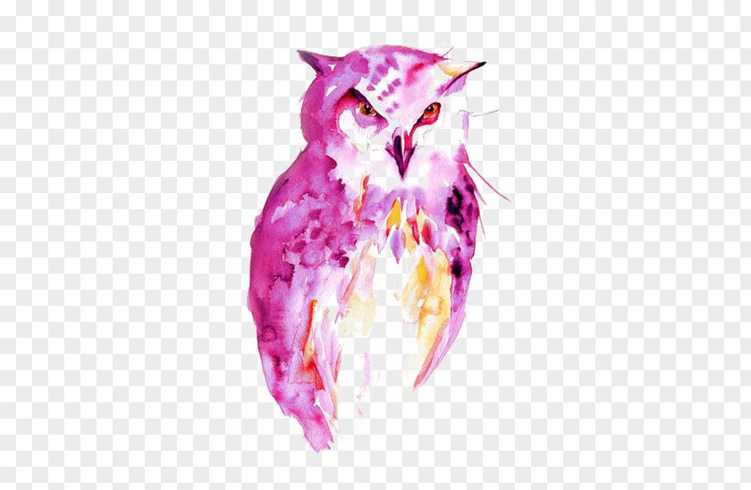 Owl Watercolor Painting Drawing Portrait PNG