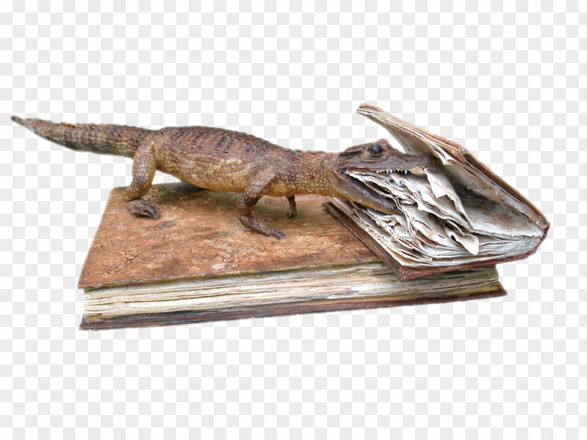 Reclam Reptile Fauna Metal PNG