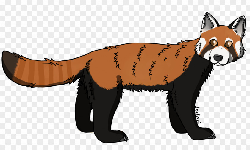 Red Panda Fox Bear Carnivora PNG