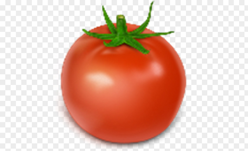 Tomato Plum Bush Vegetable PNG