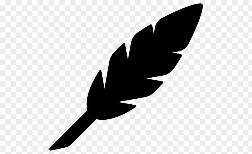 Feather Clip Art PNG