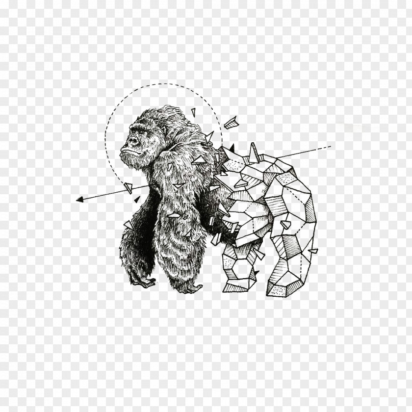 Gorilla Sketchy Stories: The Sketchbook Art Of Kerby Rosanes Geometry Drawing Illustrator PNG